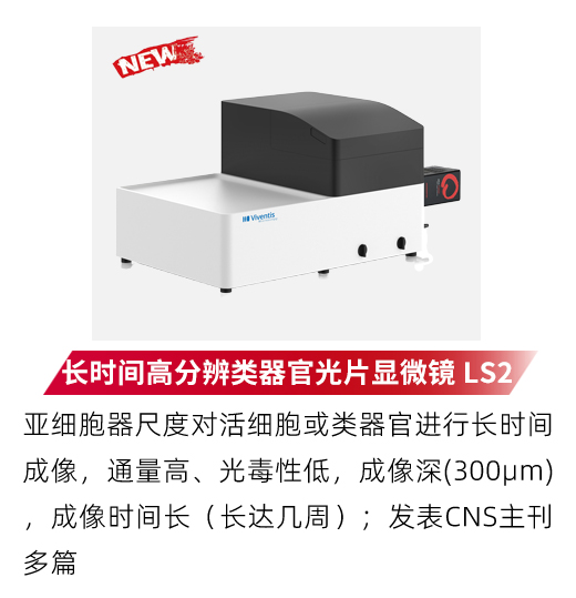 全新长时间高分辨类器官光片显微镜 LS2