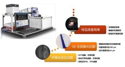 双光子显微切割系统带你领略硬组织切割的高效新玩法