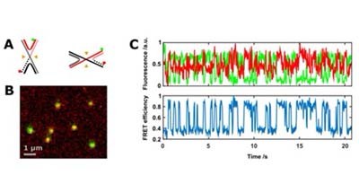 突破传统光学衍射极限：新一代Nanoimager可轻松实现超分辨荧光成像