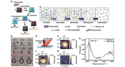 Nature：丝纤蛋白电调控构象转变及其光刻应用的纳米红外研究