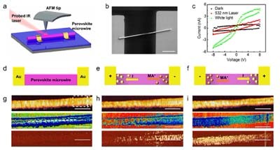 纳米级近场光学成像对钙钛矿太阳能电池表面涂层电子迁移和载流子浓度的研究进展