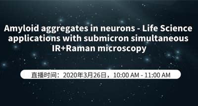 Amyloid aggregates in neurons - Life Science applications with submicron simultaneous IR+Raman microscopy