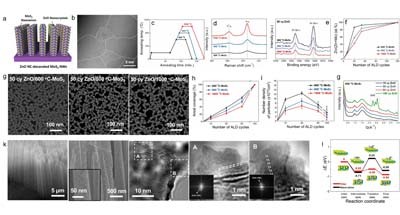 ACS Nano：原子层沉积技术助力复杂纳米结构的合成和精准调控取得新进展